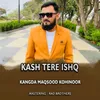 Kash Tere Ishq